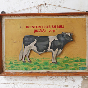 Old Indian Painting - Friesian Cow