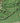 Vintage Green Sari Material