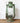 Old Storm Lamp - Green