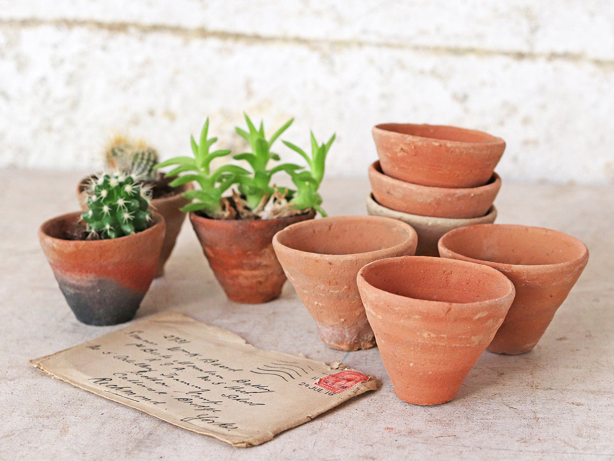 pots for succulents uk Succulent Pots | Mini Cacti Plant Pots