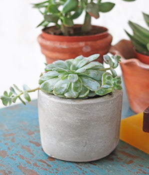 Cement Mini Planter