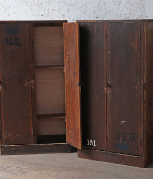 Vintage Gym Lockers - 2 Doors