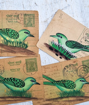 Vintage Postcard - Green Bird