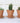 Mini Terracotta Plant Pots Set Of 3