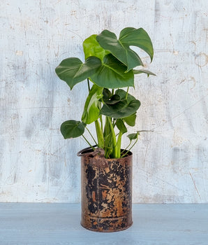 Upcycled Metal Planter