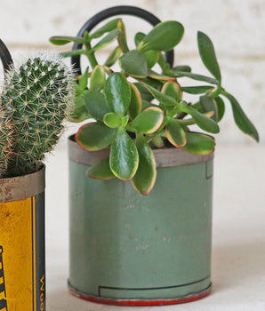 Upcycled Metal Pot - Green