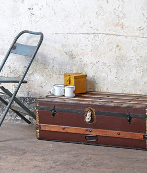 Travel Trunk