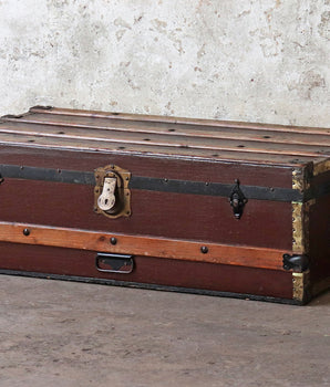 Travel Trunk