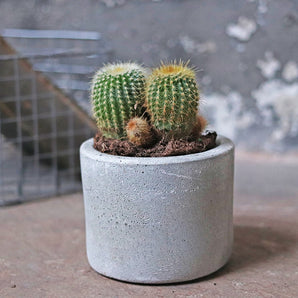 Cement Mini Planter