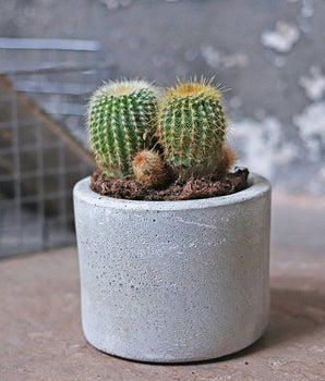 Cement Mini Planter