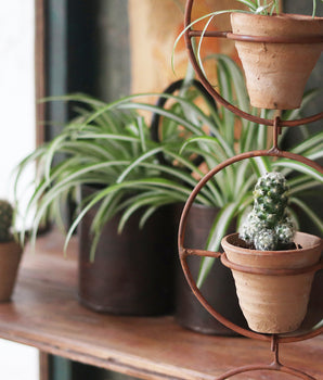 Clay Pot In Metal Hanger