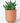 Terracotta Plant Pots - Large and Medium - U curved