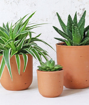 Terracotta Plant Pots - Large and Medium - U curved