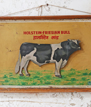 Old Indian Painting - Friesian Cow