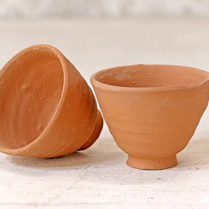 Egg Cup Plant Pot - Set Of 10