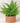 Low Cylinder Plant Pot