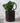 Metal Plant Pot - Single