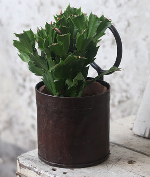 Metal Plant Pot - Single