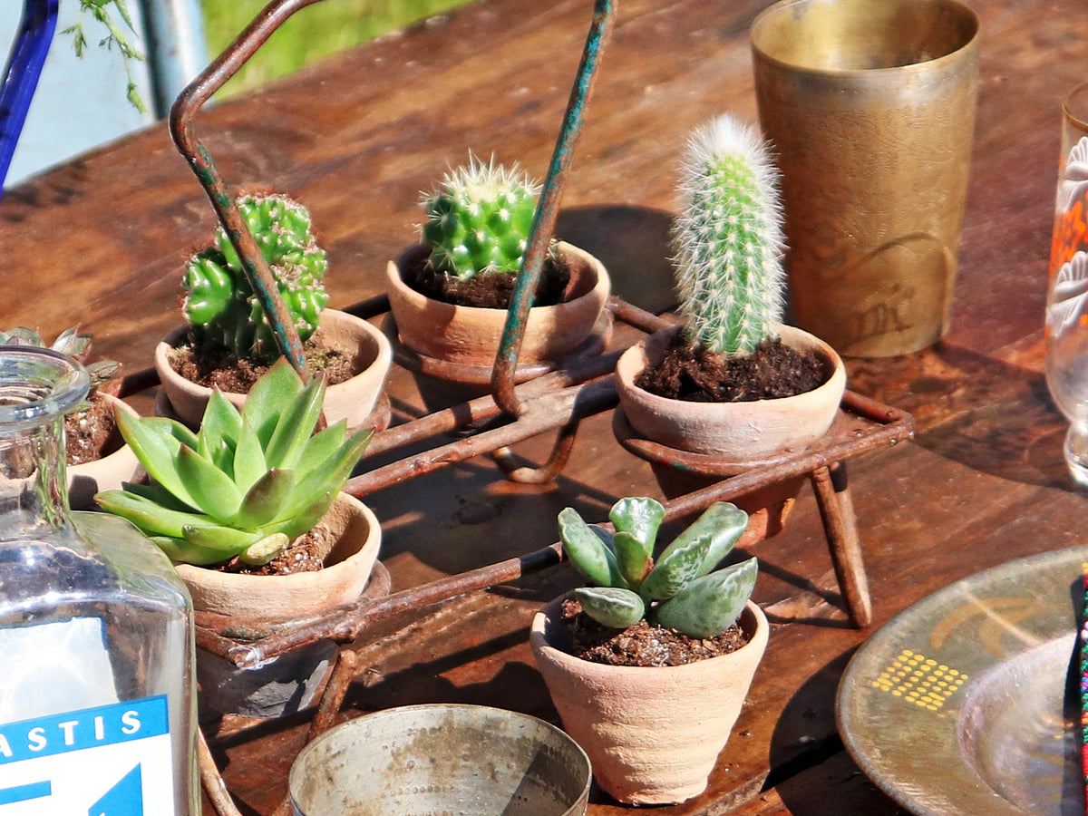 Micro Terracotta Pot | Mini Plant Pots | Set Of 10