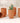 Mini Cylinder Plant Pot - Set of 10