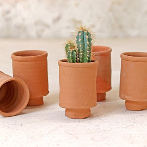 Mini Cylinder Plant Pot - Set of 10