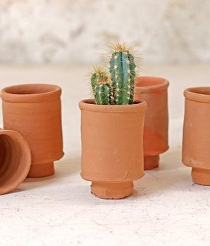 Mini Cylinder Plant Pot - Set of 10