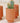 Mini Cylinder Plant Pot - Set of 5