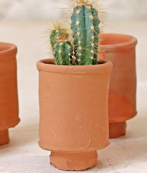 Mini Cylinder Plant Pot - Set of 5