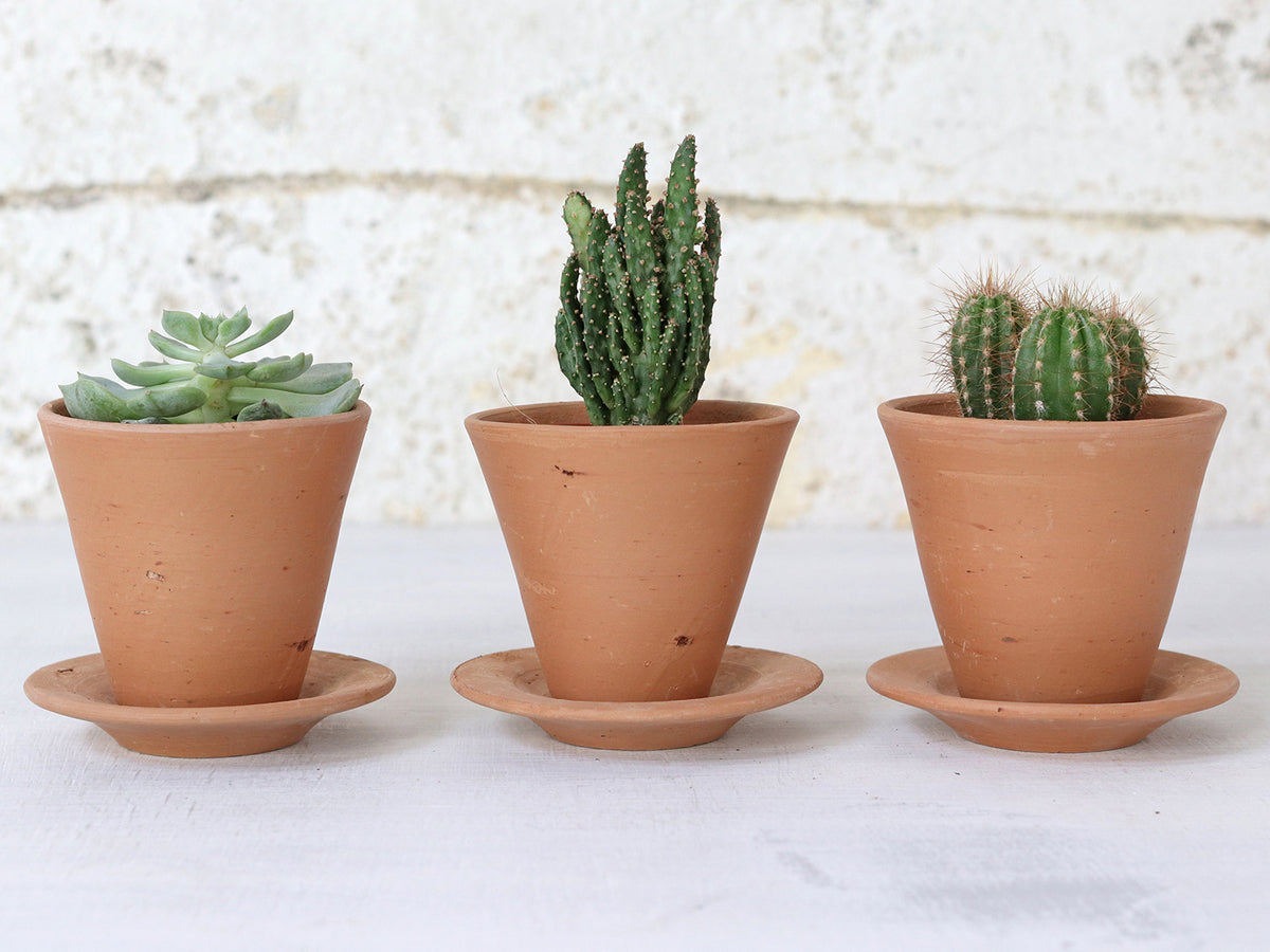 Mini Terracotta Pot | Plant Pots | Scaramanga