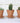 Mini Terracotta Plant Pots Set Of 10