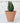 Mini Terracotta Plant Pots Set Of 5