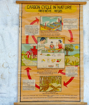 Old School Poster Carbon Cycle In Nature