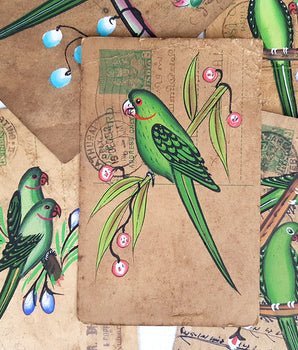 Pretty Parrot Vintage Postcard