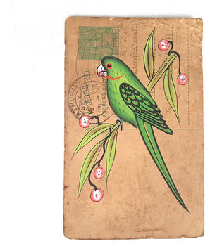 Pretty Parrot Vintage Postcard