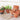 Micro Terracotta Plant Pots - Set Of 10