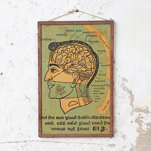 Old Educational Brain Poster