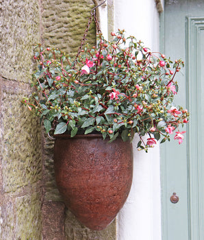 Vintage Metal Hanging Planter - Small