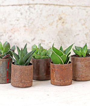 Vintage Metal Pots - Small (Set of 3)