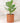 Tall Cylinder Plant Pot