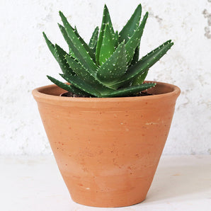 Tapered Terracotta Plant Pot - Large