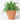 Tapered Terracotta Plant Pot - Medium