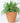 Tapered Terracotta Plant Pot - Medium