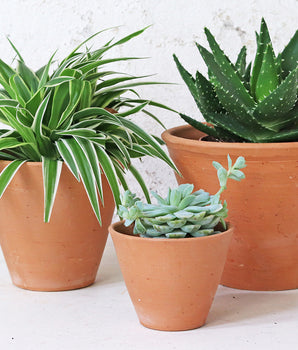 Terracotta Plant Pots Set Of 3 - Tapered