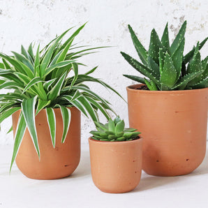 Terracotta Plant Pots Set Of 3 - U curved