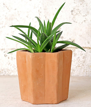 Terracotta Star Pot - Small