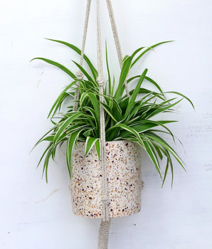 Terrazzo Hanging Plant Pot