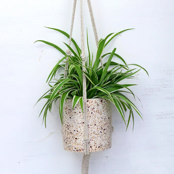 terrazzo hanging planter Terrazzo Hanging Plant Pot | Plant Pots