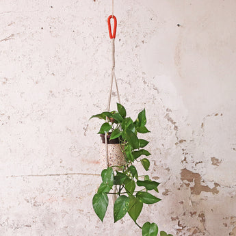 terrazzo hanging planter Terrazzo Hanging Plant Pot | Plant Pots