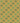 Tropical Wallpaper: Gamboge Yellow-T1902GYS